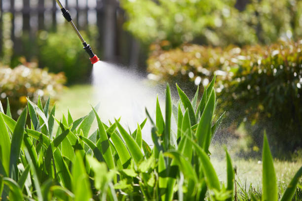24/7 Emergency Wasp Removal experts in Union Mill, VA
