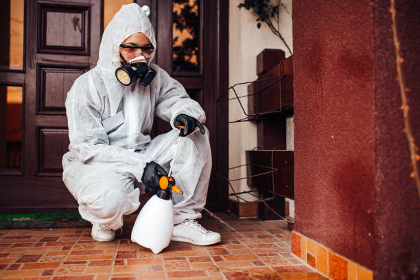 Reliable Wasp Removal contractor in Union Mill, VA by Show Me Pest Control