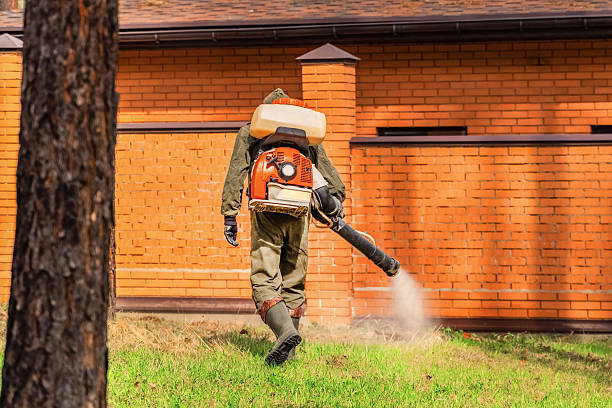 Top rated local Wasp Removal specialists in Union Mill, VA